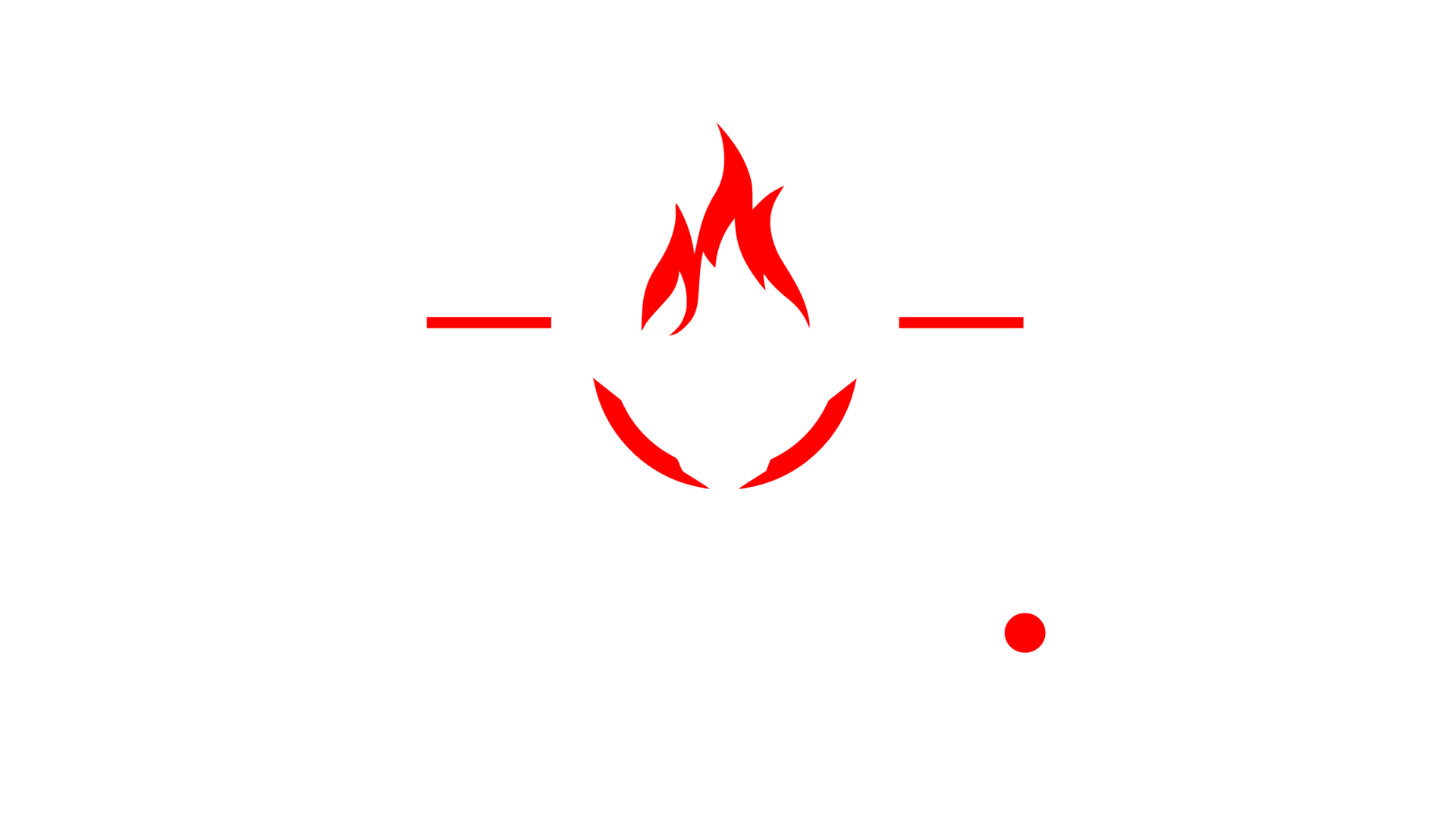 Partner logo 13