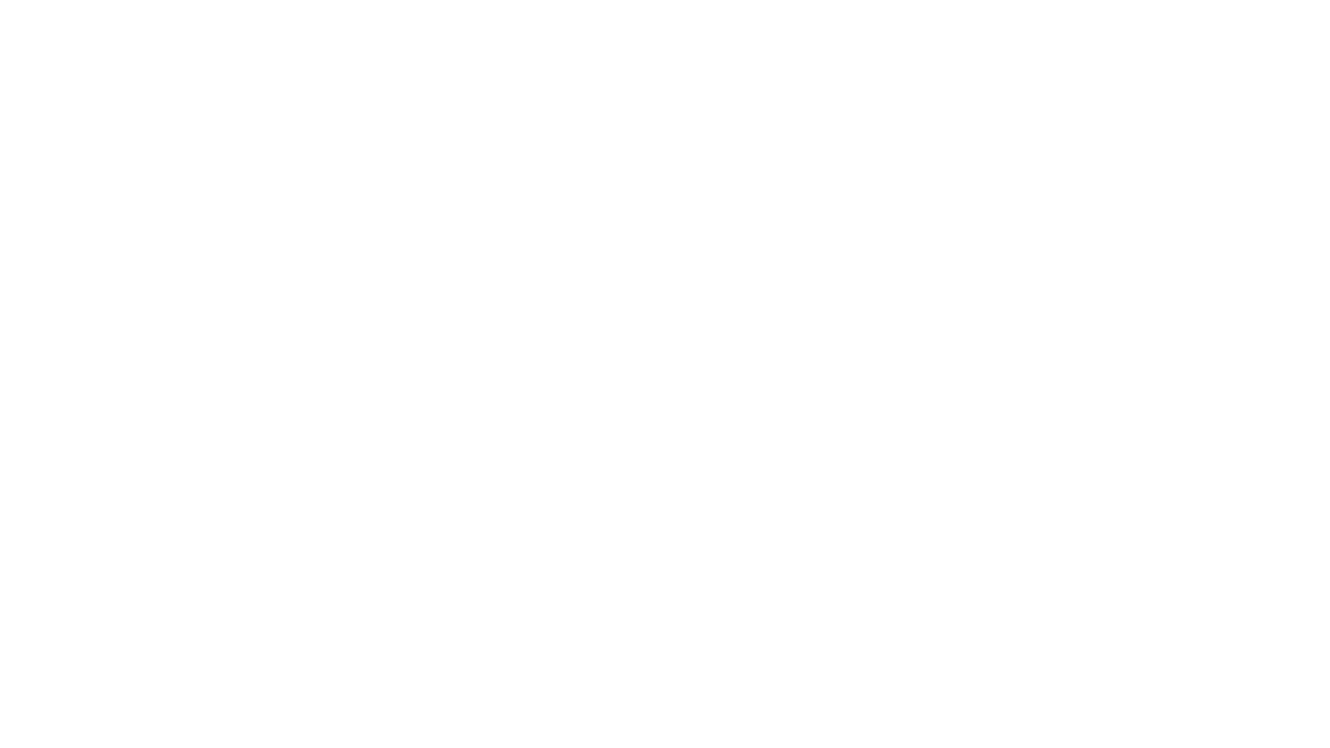 Partner logo 8